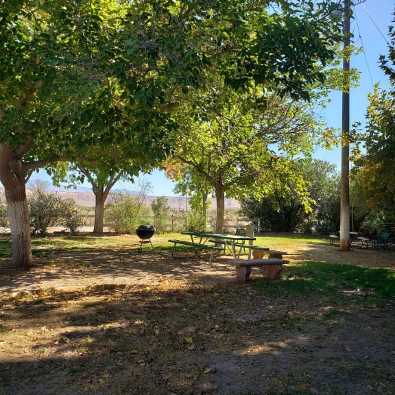 Photos and Video of Robbins Nest in Overton, NV